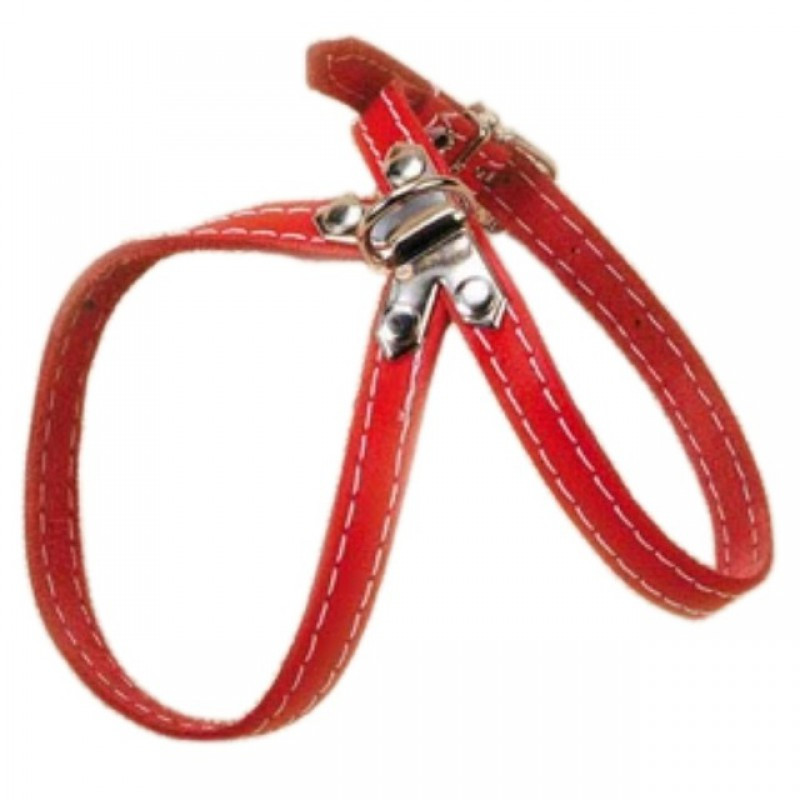 Petral cuero, varias tallas y colores.