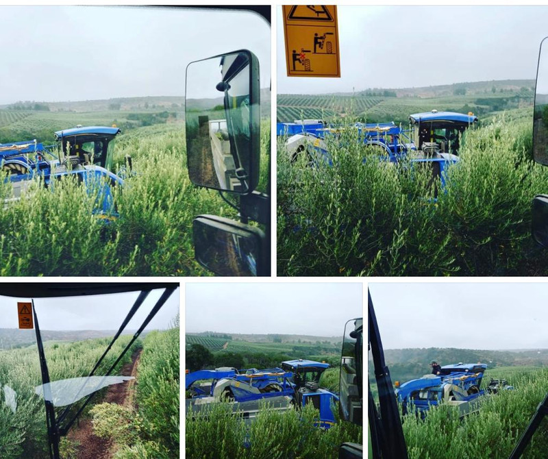 Adrizan Agricultura Avanzada 1