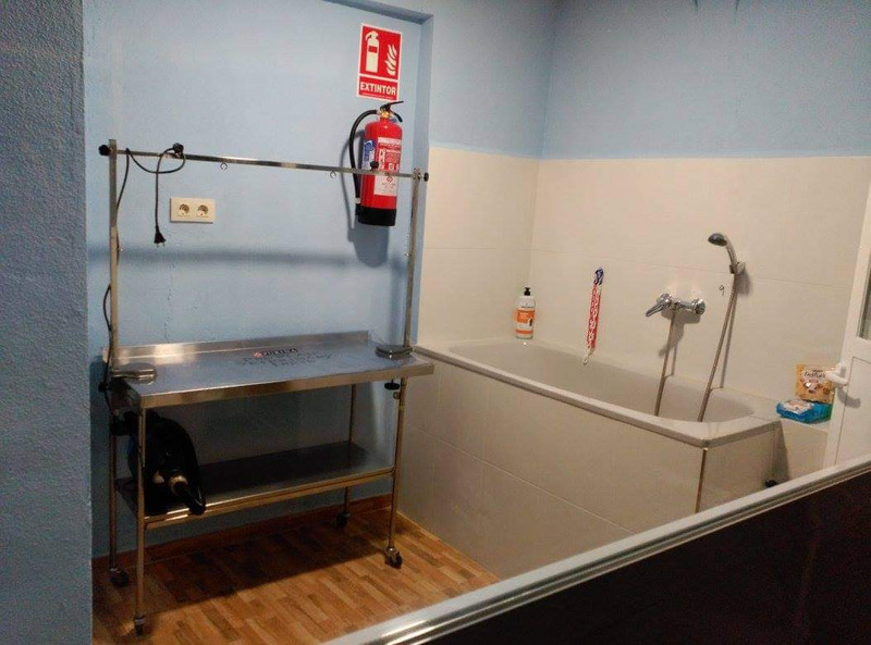 Servicio de Peluquería Canina