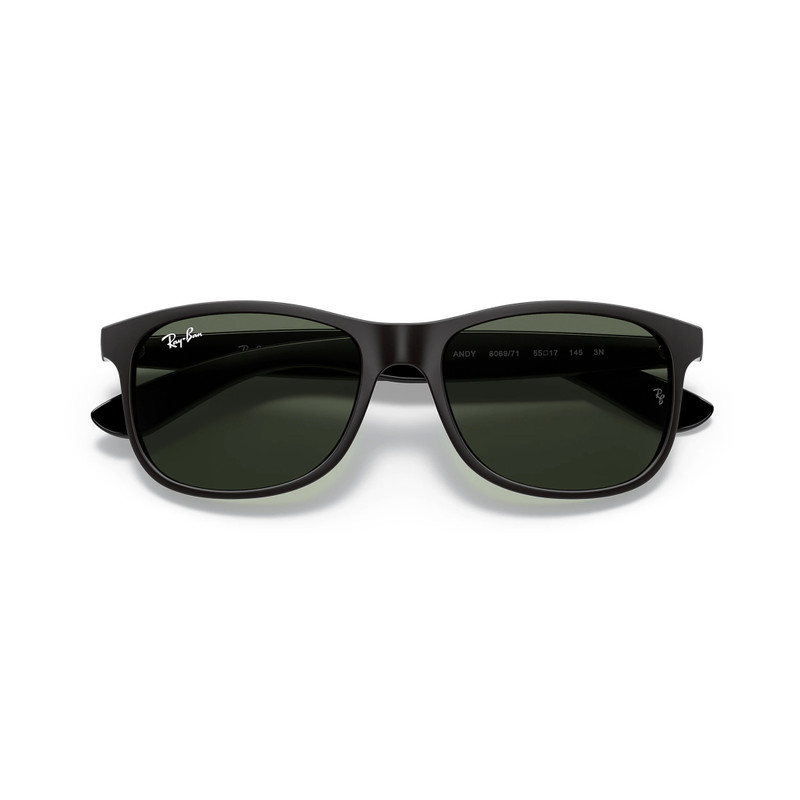 Ray-Ban ANDY RB4202 6069/71